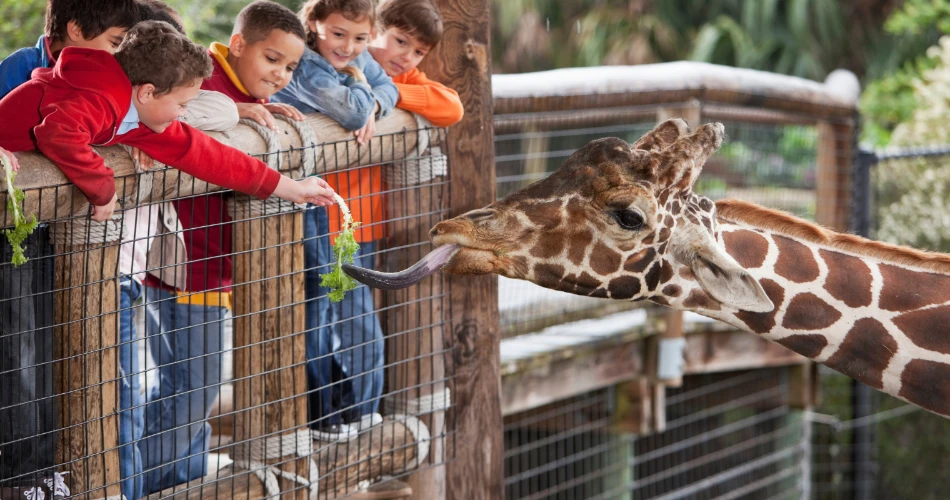 Best Family-Friendly Things to Do in Sacramento with Kids