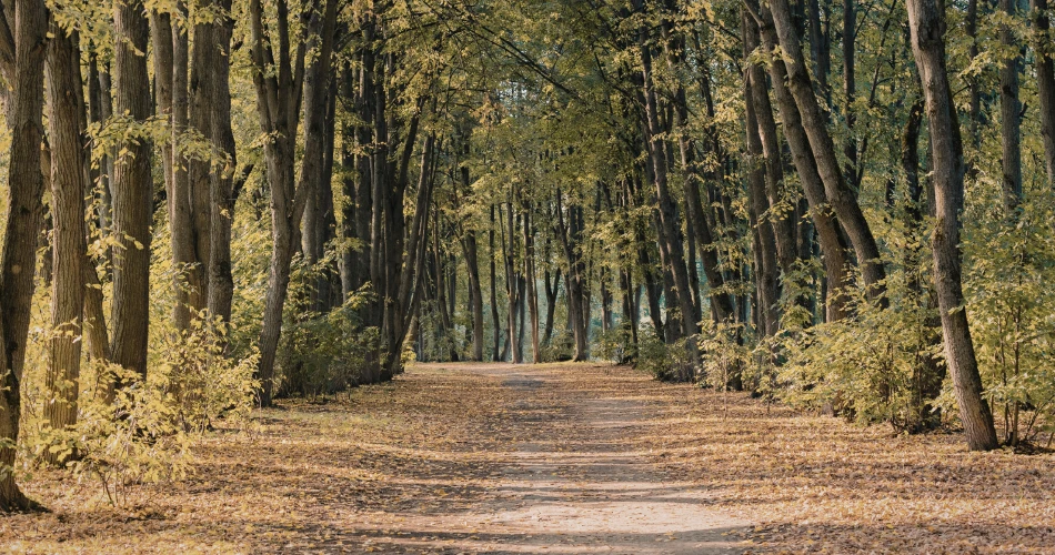 萨克拉门托周边的最佳远足小径和自然景点