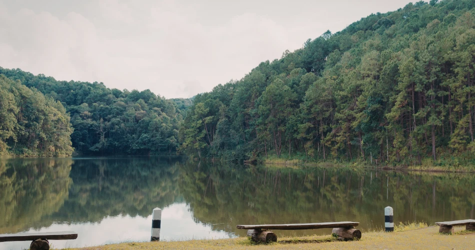 萨克拉门托周边的最佳远足小径和自然景点