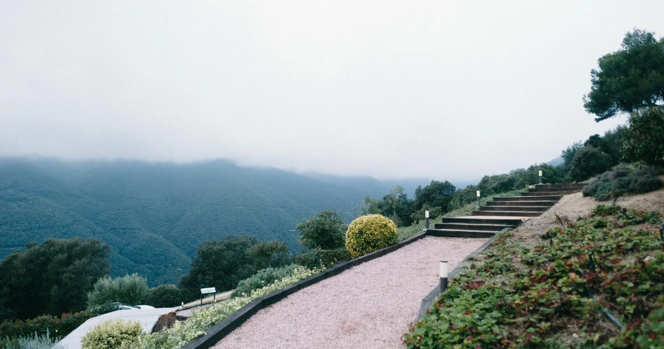 萨克拉门托周边的最佳远足小径和自然景点